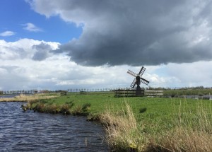 Pag 2 Foto2 Natuur opsnuiven Ilperveld